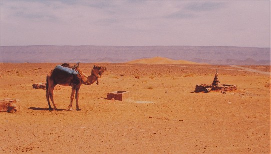 Sahara Desert Morocco