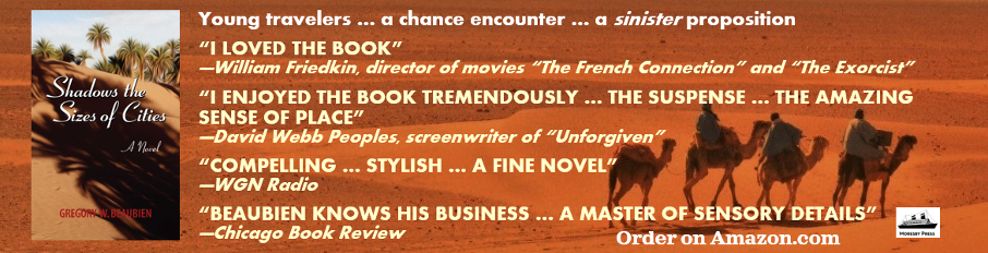 Shadows the Sizes of Cities, a thriller novel set in Morocco by Gregory Beaubien